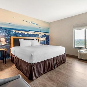 One-Bedroom King Suite